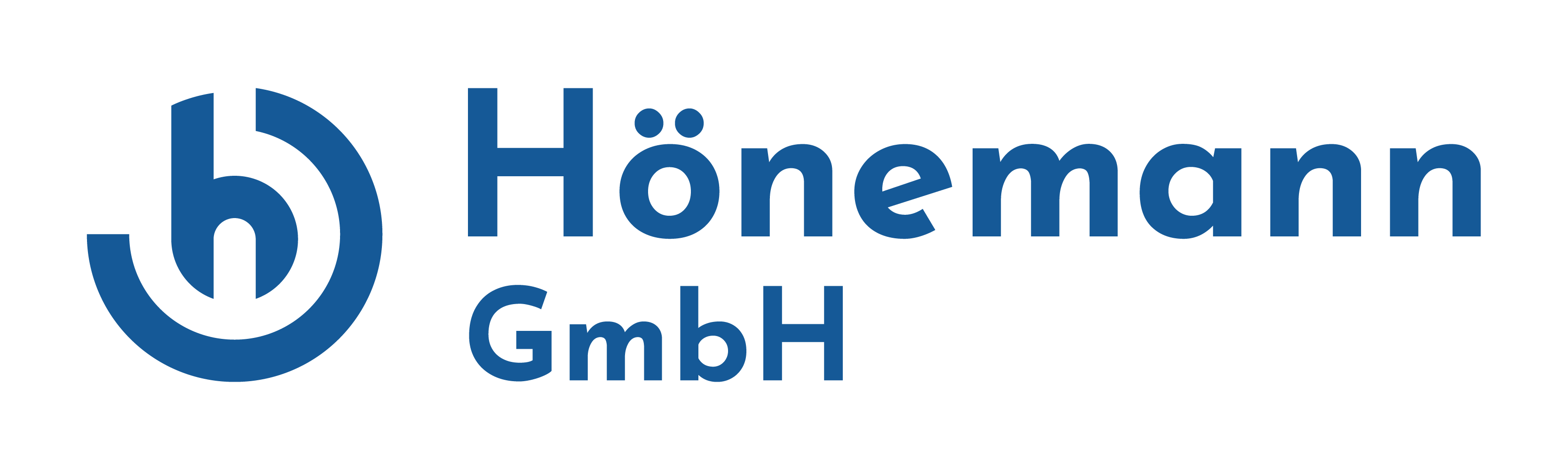Logo Hoenemann GmbH