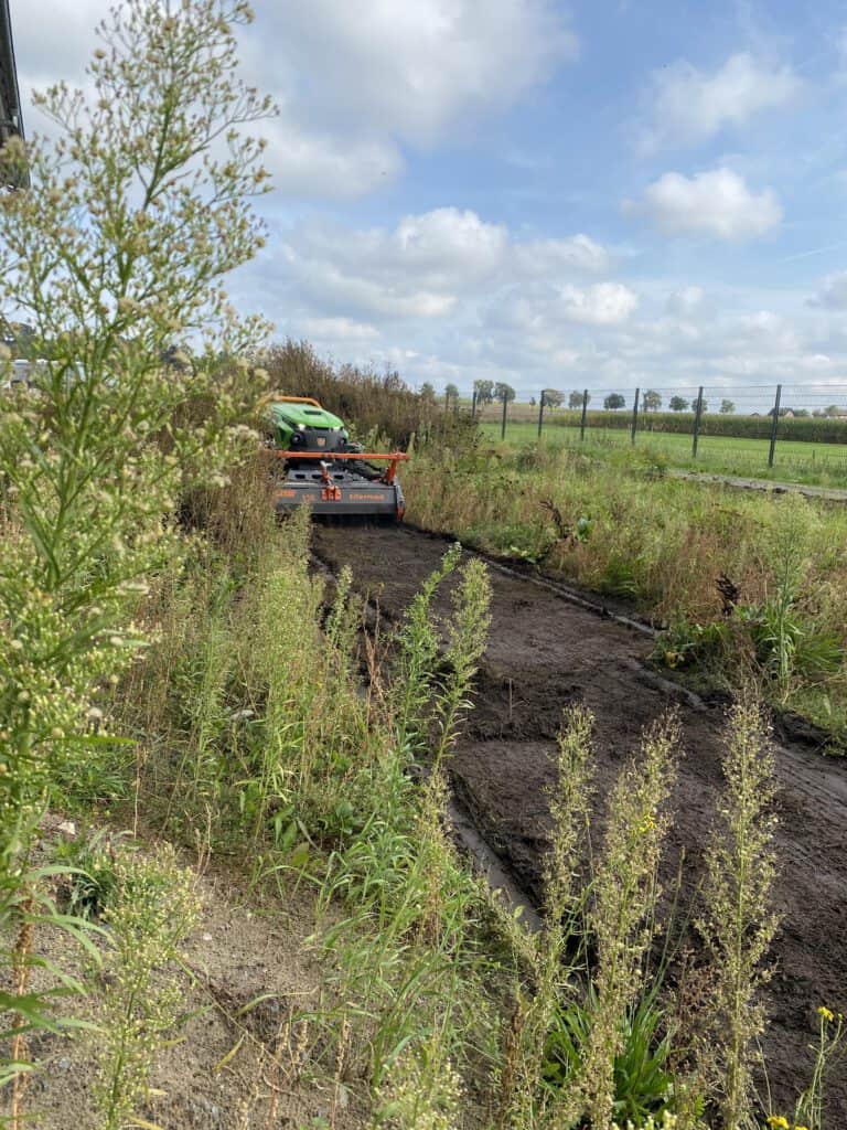 Funkraupe LV600 mit Forstmulcher beim Mulchen von hohem Unkraut und Gras.