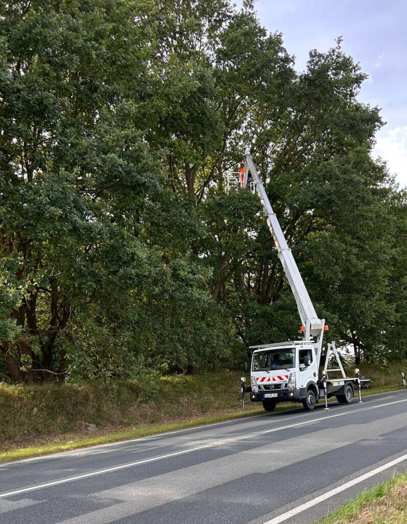LKW-Arbeitsbühne am Straßenrand beim Baumbeschnitt in städtischer Umgebung.